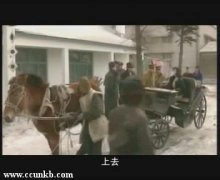 张丽昕