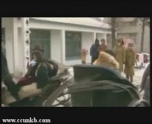 张丽昕