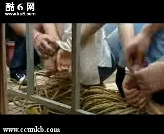 胡可,毛俊杰
