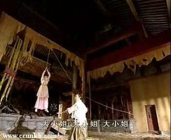 秦岚