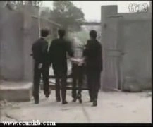 李冰冰