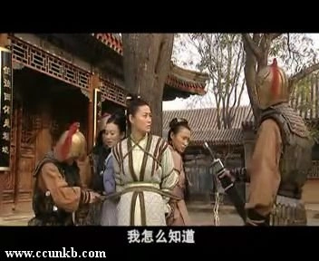 王思懿，佚名