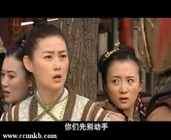 王思懿，佚名
