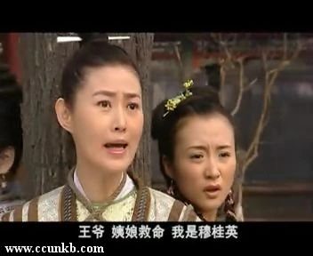 王思懿，佚名