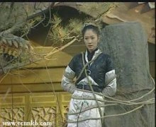 李小冉
