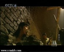 章萍（又名：章西西）