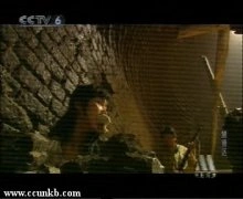 章萍（又名：章西西）
