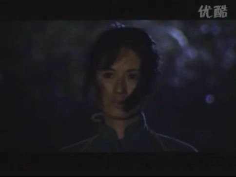 决战华南