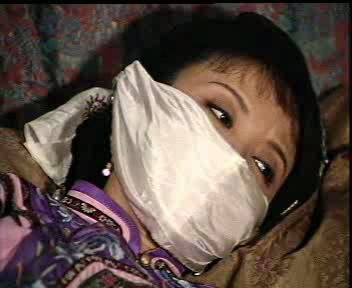 康熙微服私访记II之馒头记