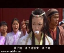 潘慧如