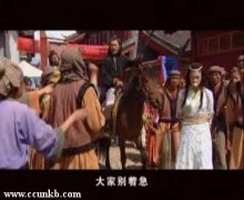 潘慧如