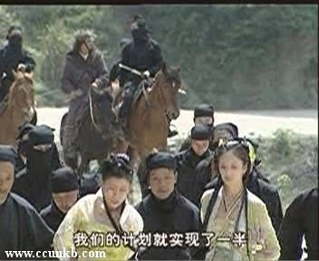 李小冉