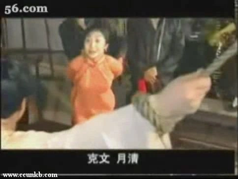 叶丽仪