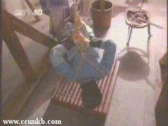 杨静