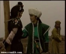 高宝宝