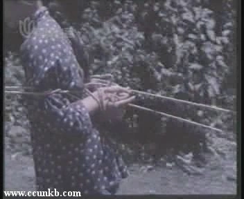 佚名