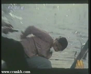 陶慧敏
