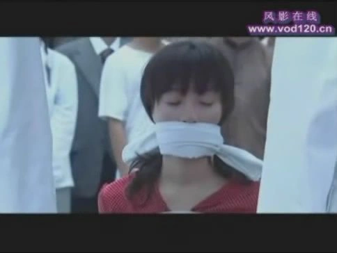 秘密图纸