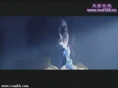温峥嵘*