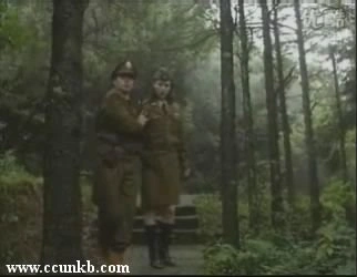 郑爽