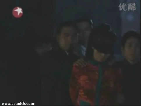 王维维