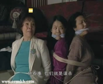 归亚蕾,曾宝仪,佚名