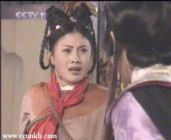 张译木