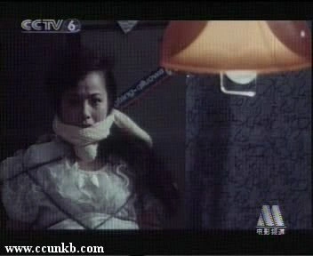 陈琦