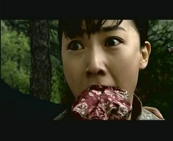 山菊花
