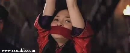 范文芳