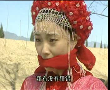 少年张三丰