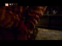 刘诗诗