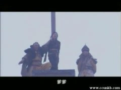 杨幂