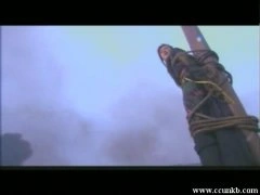 杨幂