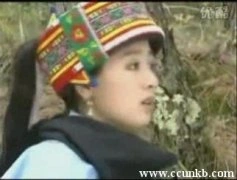 李佳璘*
