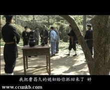赵倩