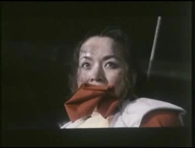 生死警探亡命匪