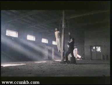 李迎秋