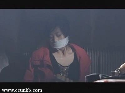 苏岩