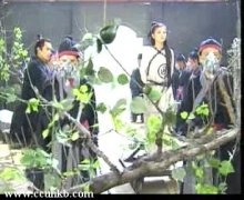 李湘