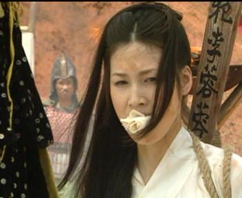 隋唐英雄传