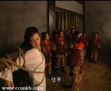 童蕾
