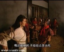 童蕾