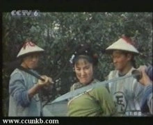 杨凤一