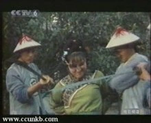 杨凤一