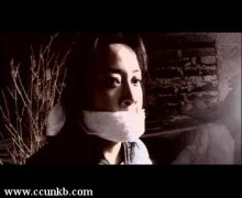 陈小艺