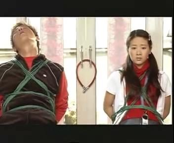 天上掉下个林妹妹