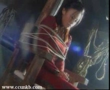 陈雅伦