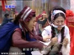 沈傲君