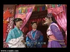 颜丙燕